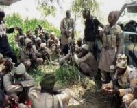 DSS secures freedom of five aid workers abducted by Boko Haram