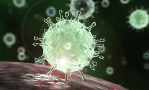 Coronavirus can stay in air for hours, new study shows
