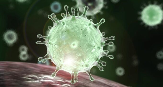 Coronavirus can stay in air for hours, new study shows