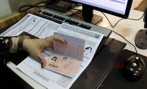 UAE approves issuance of 5-year multiple-entry tourist visa