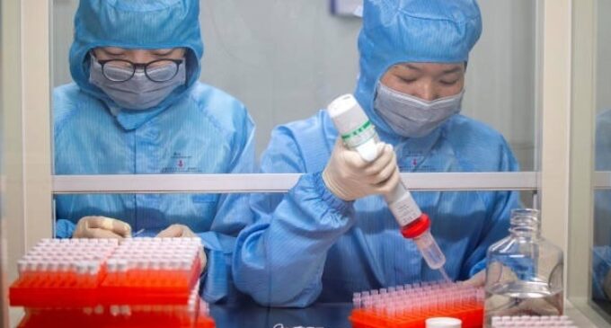 WHO: First coronavirus vaccine could be ready in 18 months