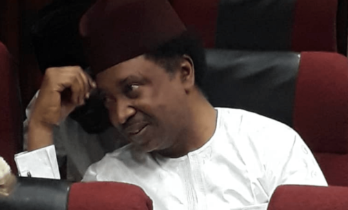 Witness: How Shehu Sani asked me for N5m to bribe judges, EFCC