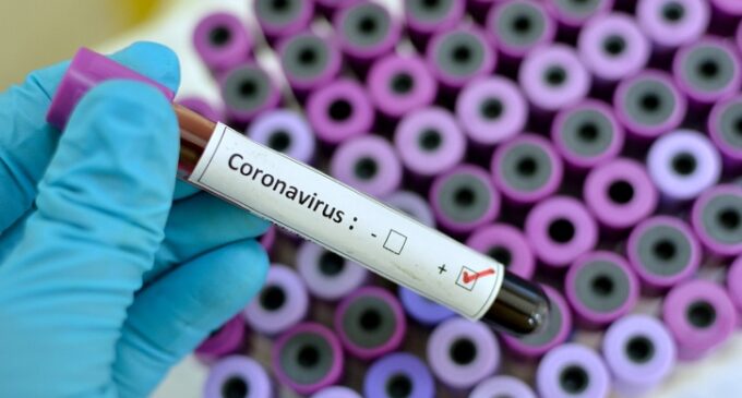 South Africa records first case of coronavirus