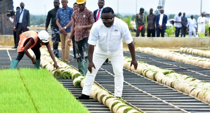 The Cross River rice example