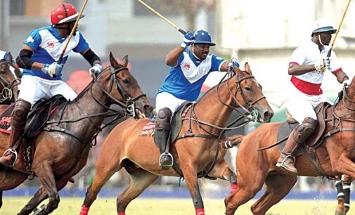 Horses gallop on Lagos polo ground for honours
