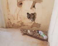 PHOTOS: Inside the dilapidated Kano isolation centre