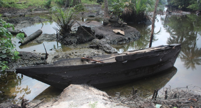 COVID-19 and the Ogoniland clean-up