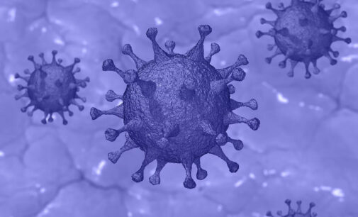 What Africa must do to mitigate the damaging effects of coronavirus  