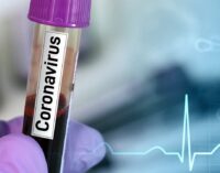 FACT CHECK: 45m Nigerians to die of coronavirus? Verifying claims in viral WhatsApp audio