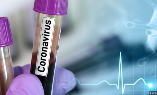 Three suspected coronavirus cases in Kano test negative