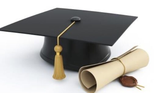 Are Nigerian universities producing too many first-class graduates?