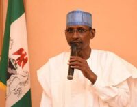 Minister: Chinese company polluting water supply in FCT has no lease to mine gold