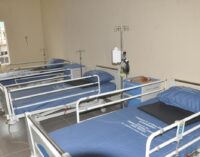12 COVID-19 patients discharged in Borno