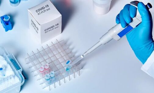US scientists: We’ve developed test kit that can detect COVID-19 quickly