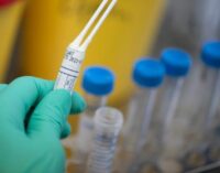 NCDC confirms 126 new coronavirus infections