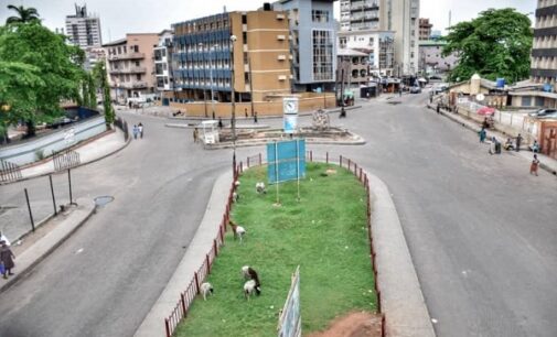 Lagos lockdown: Positive for our environment?