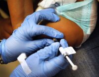 Countries with tuberculosis vaccination policies report lower COVID-19 deaths, says study