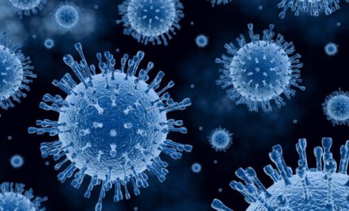 Mutated coronavirus ‘more infectious but less deadly’