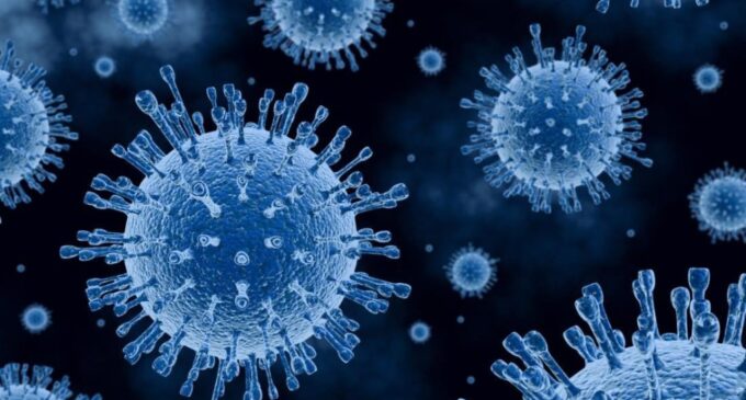 CDD FACT CHECK: There is no coronavirus in Nigeria – US-based nurse speaks