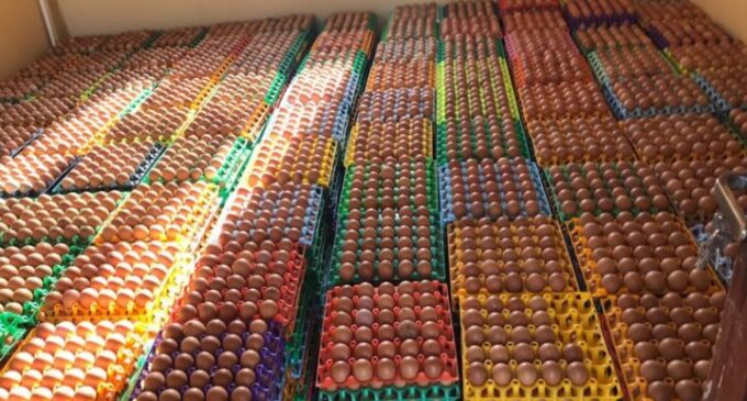 ‘We’ve lost N30bn eggs’ — poultry farmers blame cash scarcity for low patronage