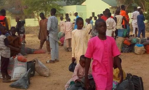 Insecurity: Over 3,000 children out of school in Katsina communities, says IDP chairman