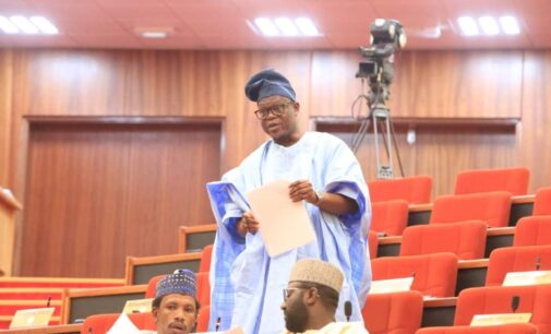 Many of our laws are dead, says senate spokesman