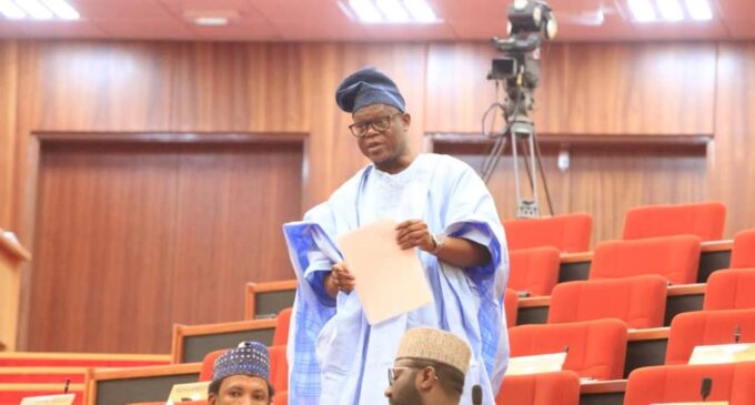 Many of our laws are dead, says senate spokesman