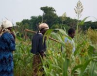 Turning agriculture into a wealth creating sector