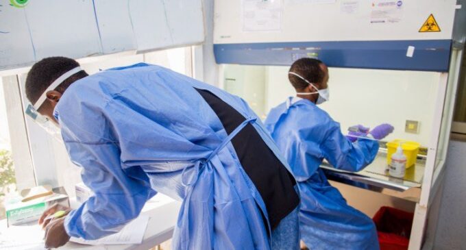 Nigeria records 288 new infections but recovery rate rises significantly