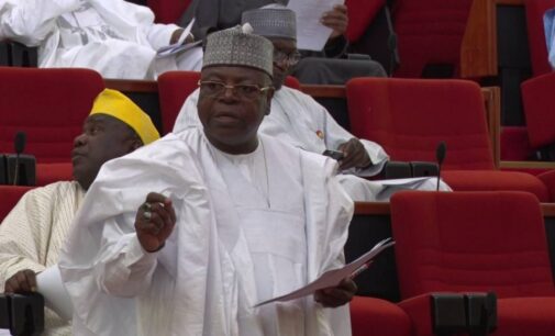 Senator: Nigerien soldiers are the ones fighting bandits in Sokoto