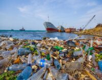 Plastic pollution has become serious environmental problem, minister warns