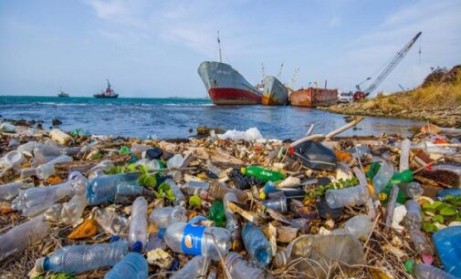 World Environment Day: NGO launches campaign to help protect Nigeria’s marine life from plastic pollution