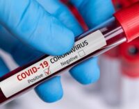 WHO: COVID remains dangerous — long-term public health action critically needed