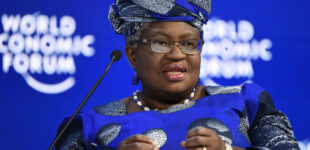 Okonjo-Iweala becomes first Nigerian honorary degree recipient at Oxford University’s Encaenia event