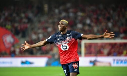 Osimhen voted Lille’s player of the season