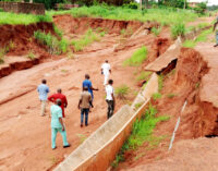 NESREA urges Nigerians to plant trees, shrubs to control erosion