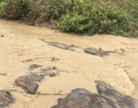 FG indicts Chinese mining company for water pollution in FCT