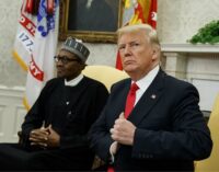 Wizkid: Buhari and Trump are clueless… only difference is one can use Twitter better