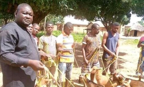 EXTRA: Benue politician ‘donates ropes to communities for tying goats’