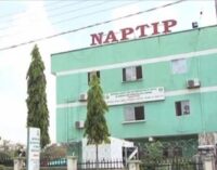 NAPTIP: We’ve rehabilitated over 17,000 trafficked victims since 2003