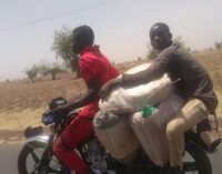 UNDERCOVER INVESTIGATION: How smugglers use donkeys, camels, motorbikes to aid movement of contraband