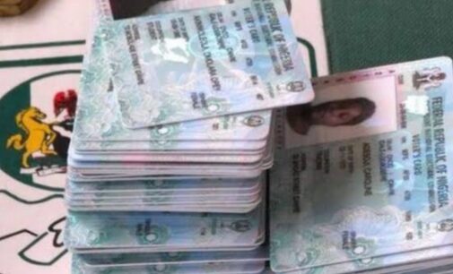YIAGA: Politicians buying voter cards ahead of Edo election