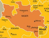 One dead as boat capsizes in Niger