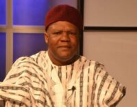 ‘I got my information from traders’ — Mailafia on northern gov leading Boko Haram