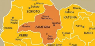 NSCDC personnel ‘shoot woman to death’ at Eid ground in Zamfara