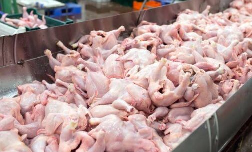 EXTRA: China says frozen chicken from Brazil tested positive for COVID-19