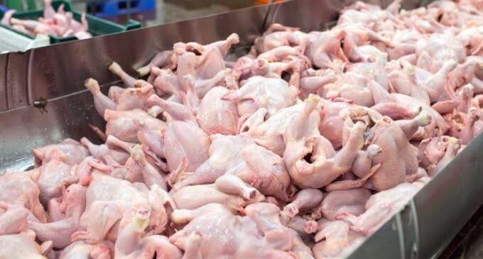 EXTRA: China says frozen chicken from Brazil tested positive for COVID-19