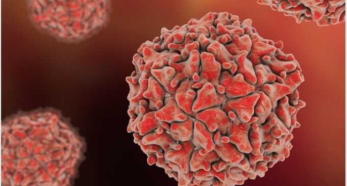 NPHCDA: 395 cases of mutant poliovirus recorded in 28 states