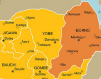 ‘150 insurgents killed’ as NAF conducts air raid in Borno