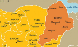 Group condemns terrorists attack on Muslim worshippers in Borno